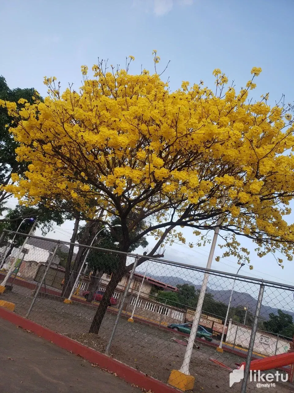 TOifCTS0Pl7BqP2Y_5.webp