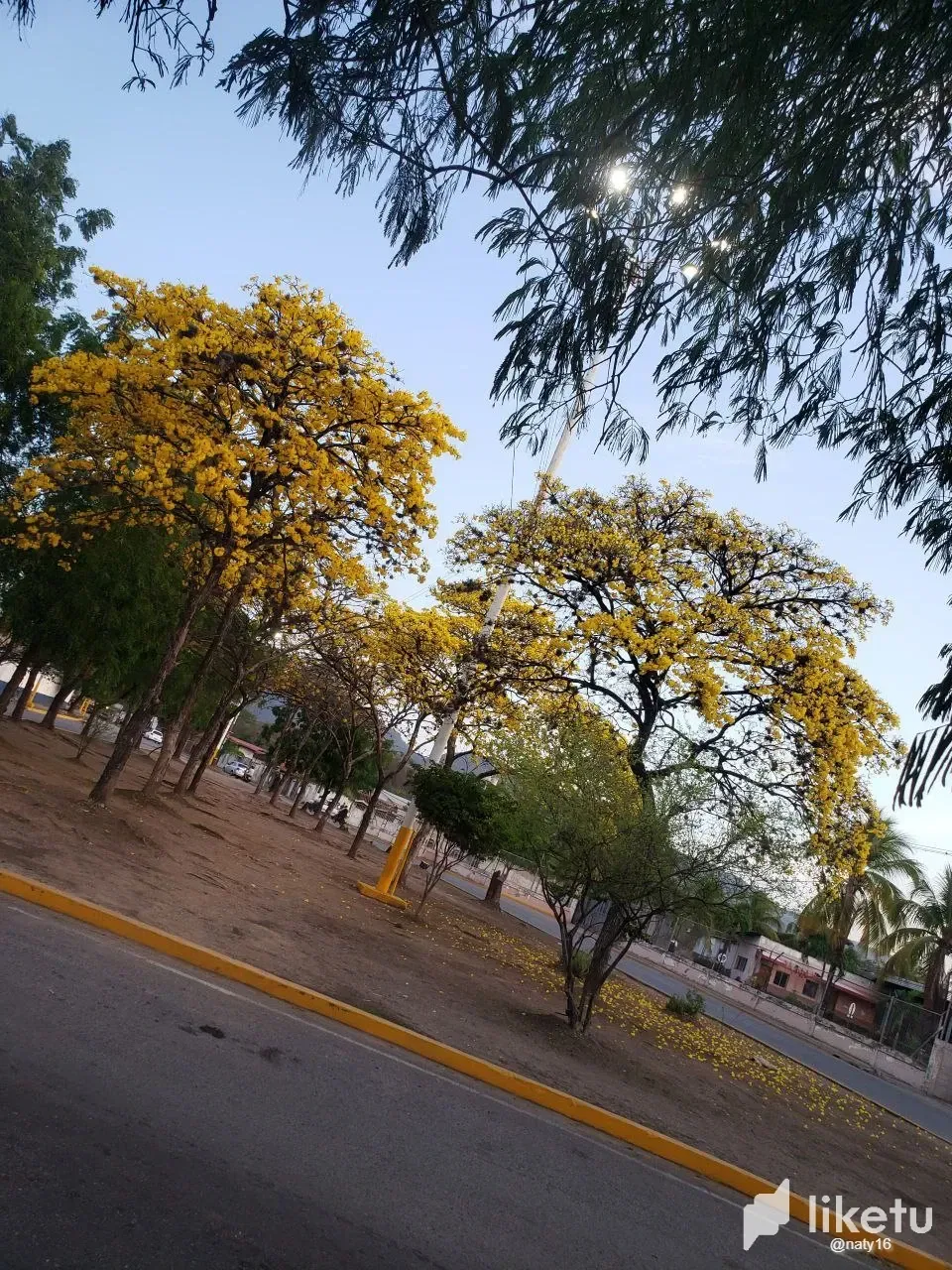 ZdKvd486AcLSD6tS_8.webp
