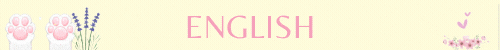 English banner