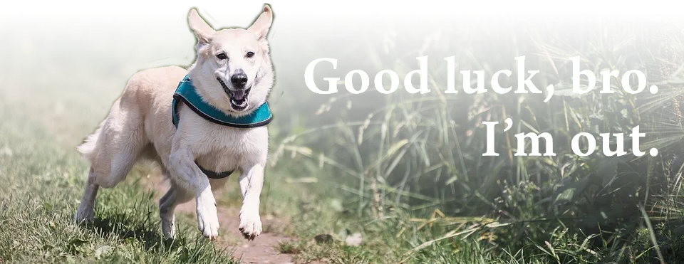 run.png