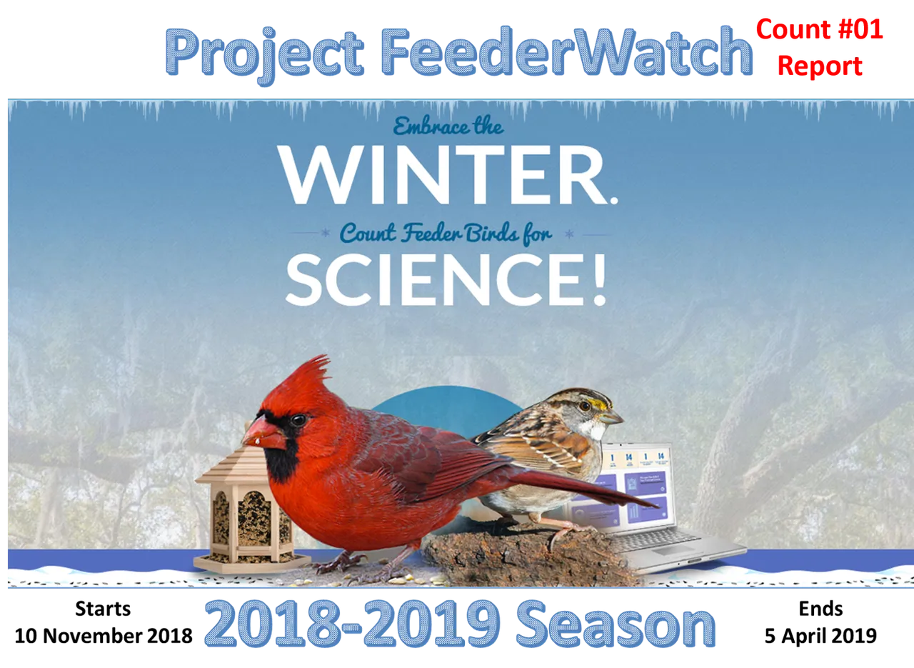 Project FeederWatch PFW.png