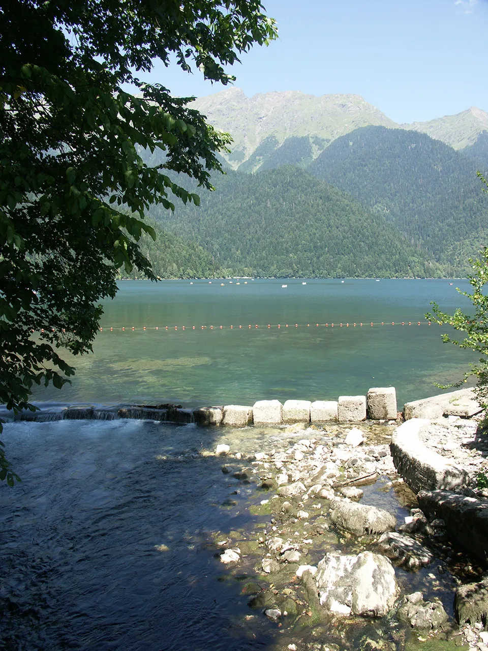 229.JPG