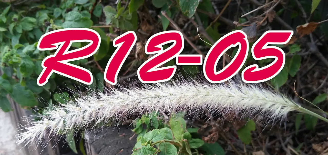 R12.jpg
