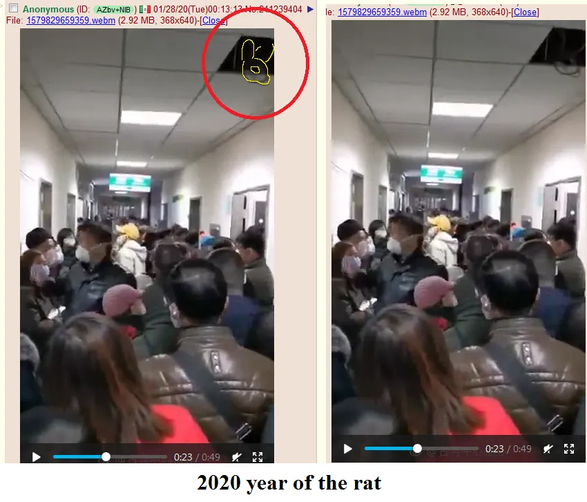 Rat.png