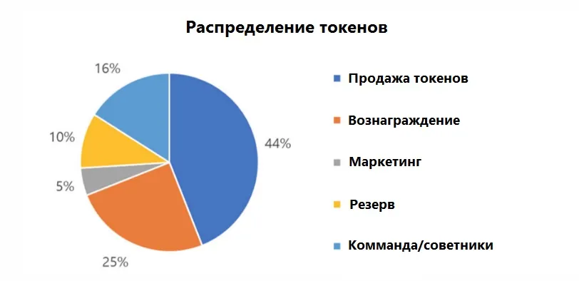 tok.jpg