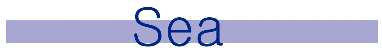 sea.jpg