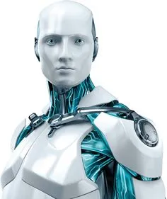bot.jpg