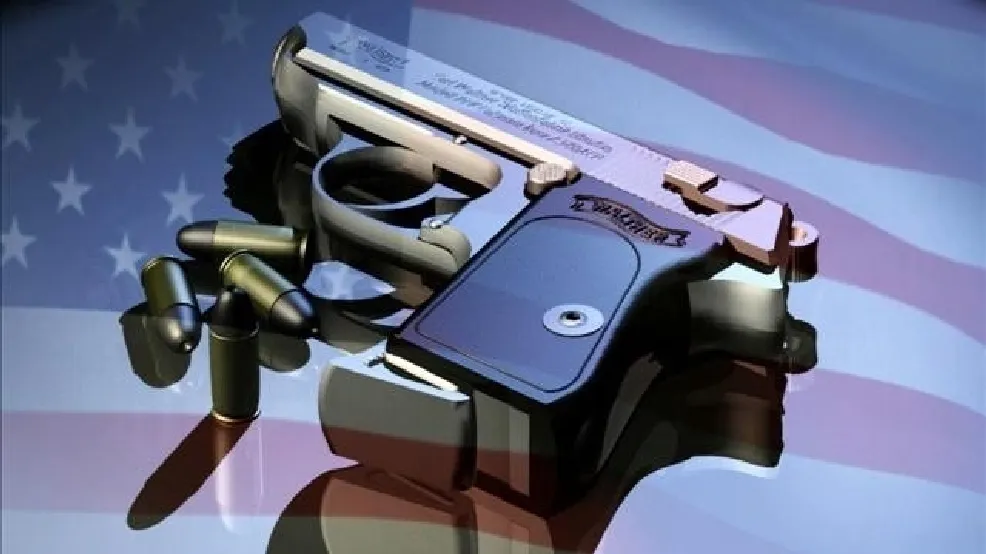 gun.jpg