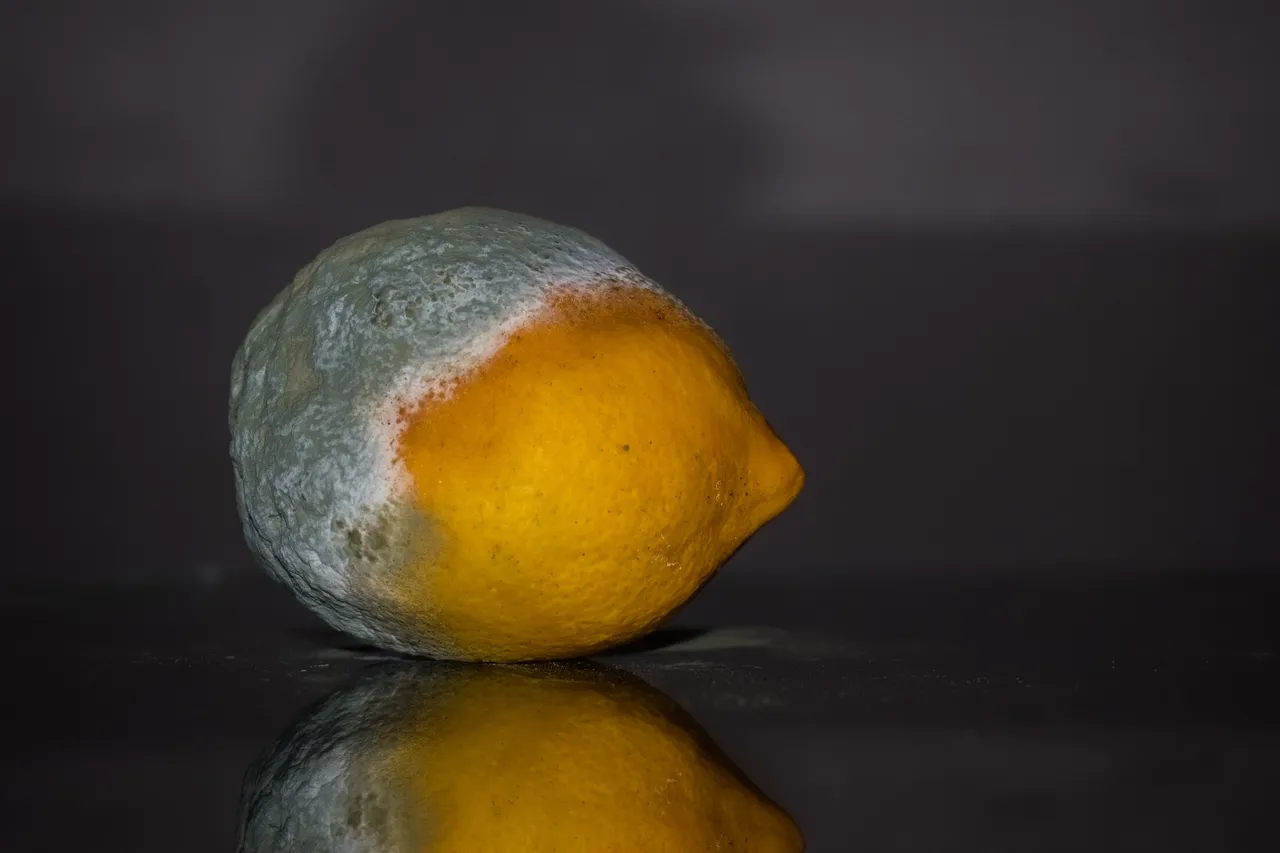 lemon2146987_1920.jpg