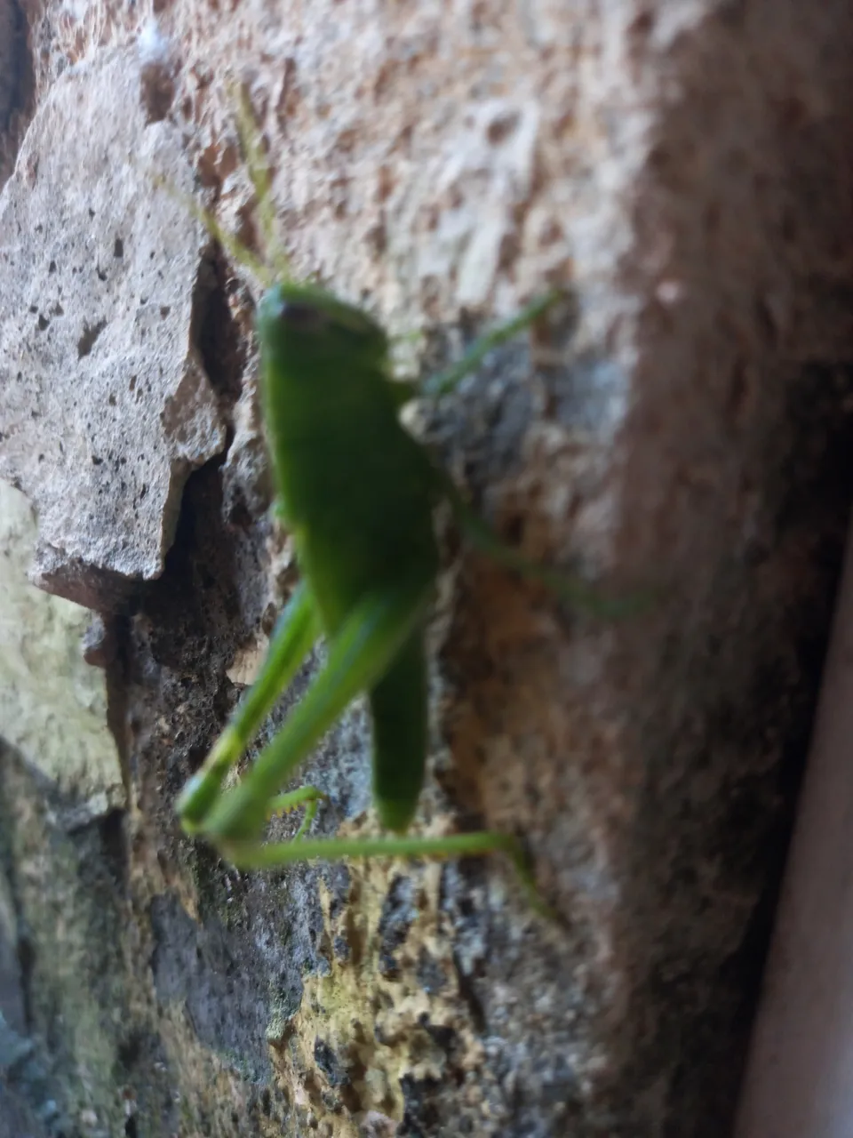 20201124_171540.jpg
