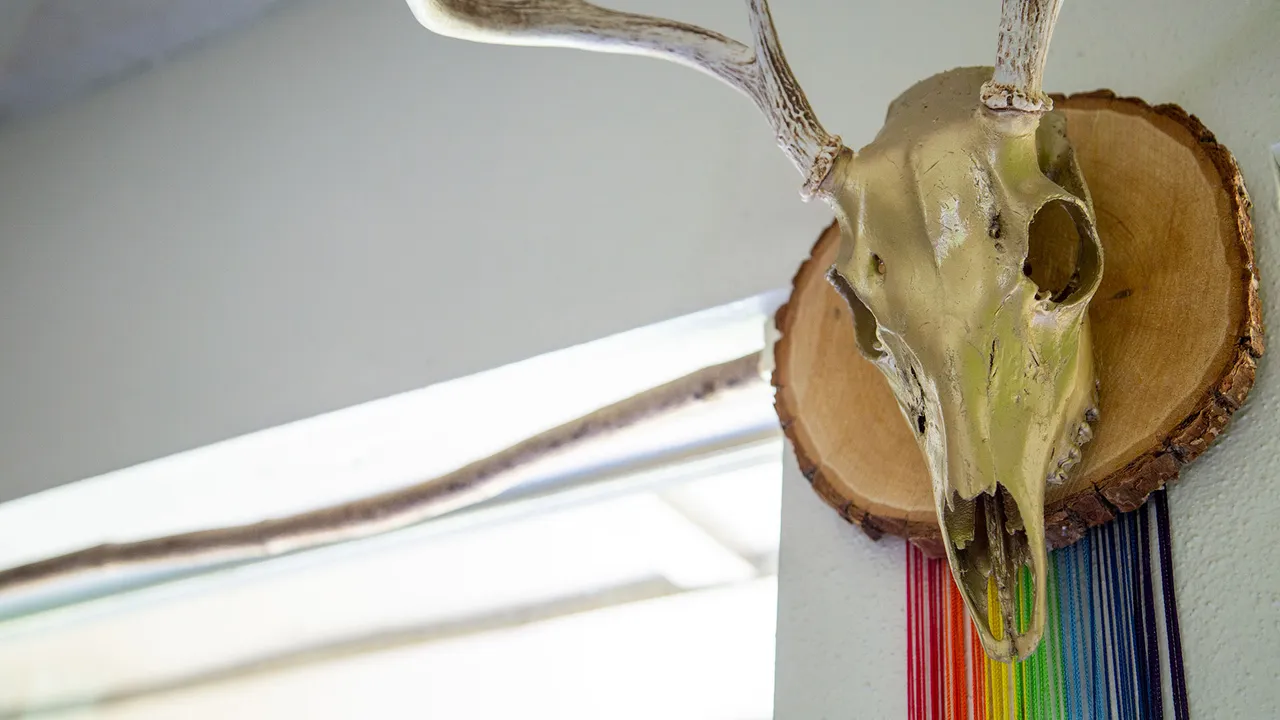 Rainbow is the name given to a deer who shares space in our home.