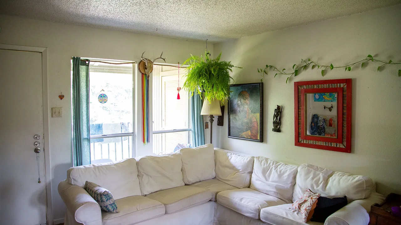 Rainbow looks over our living room, bearing gifts of golden light and colors.