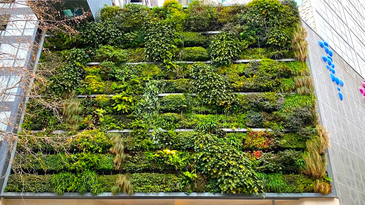 vertical garden.jpg