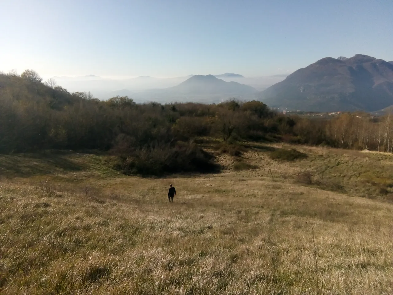 IMG_20201123_125503.jpg