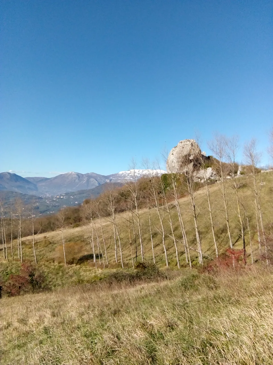 IMG_20201123_125446.jpg