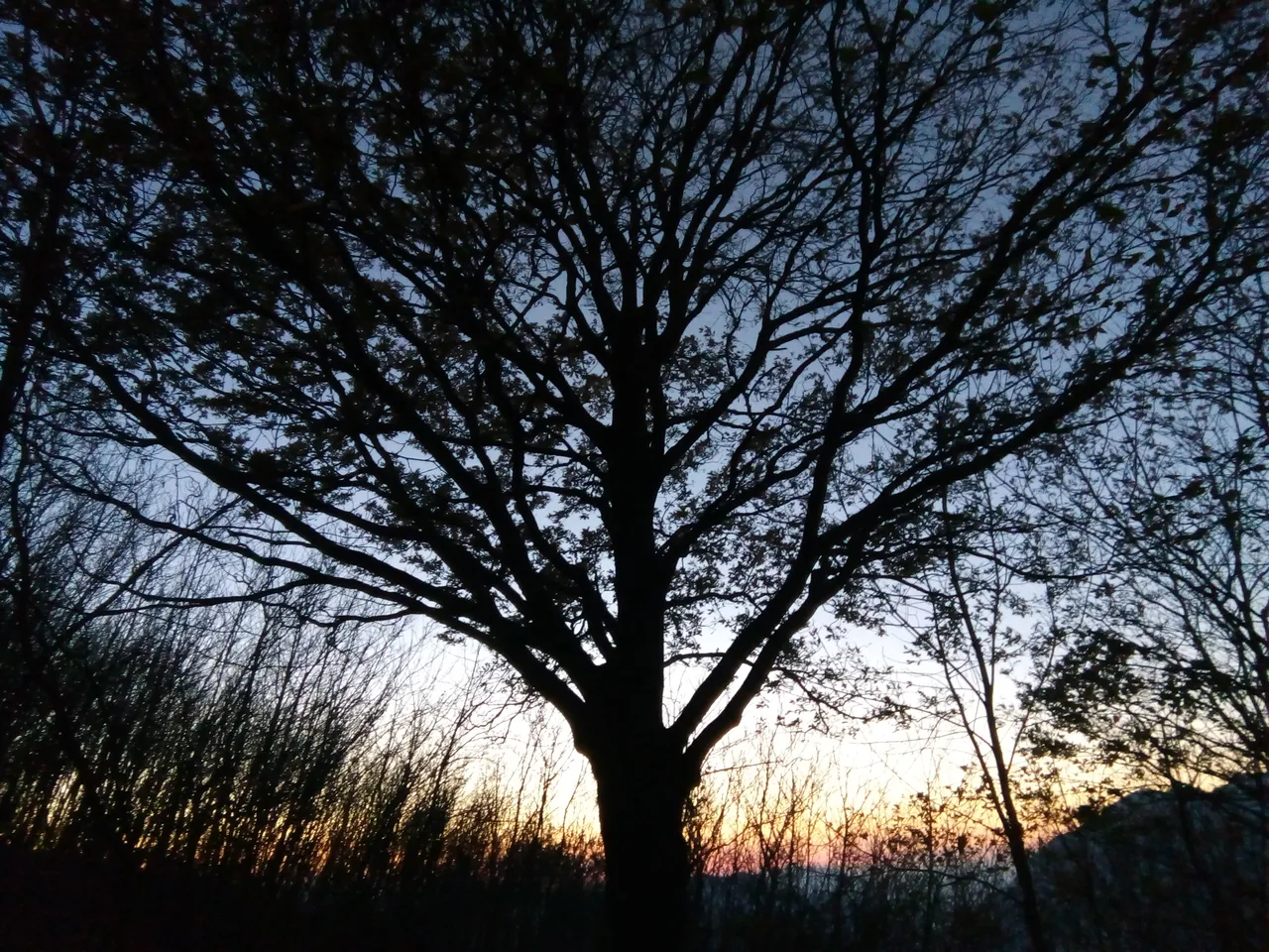 IMG_20201125_165921.jpg
