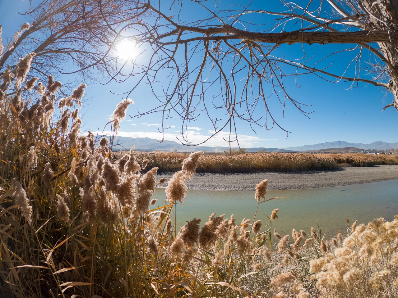 wwest201102_0071.jpg