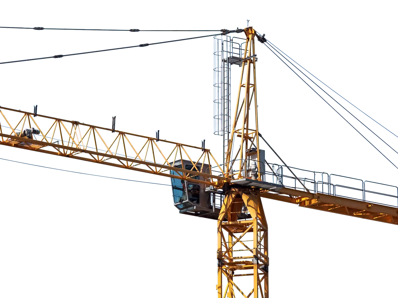 crane2537934_1280.png