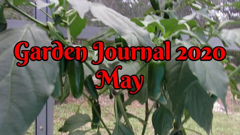 Garden Journal 2020 May.jpg