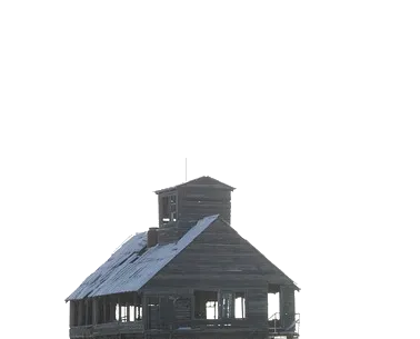 imageedit_126_3205530039.png