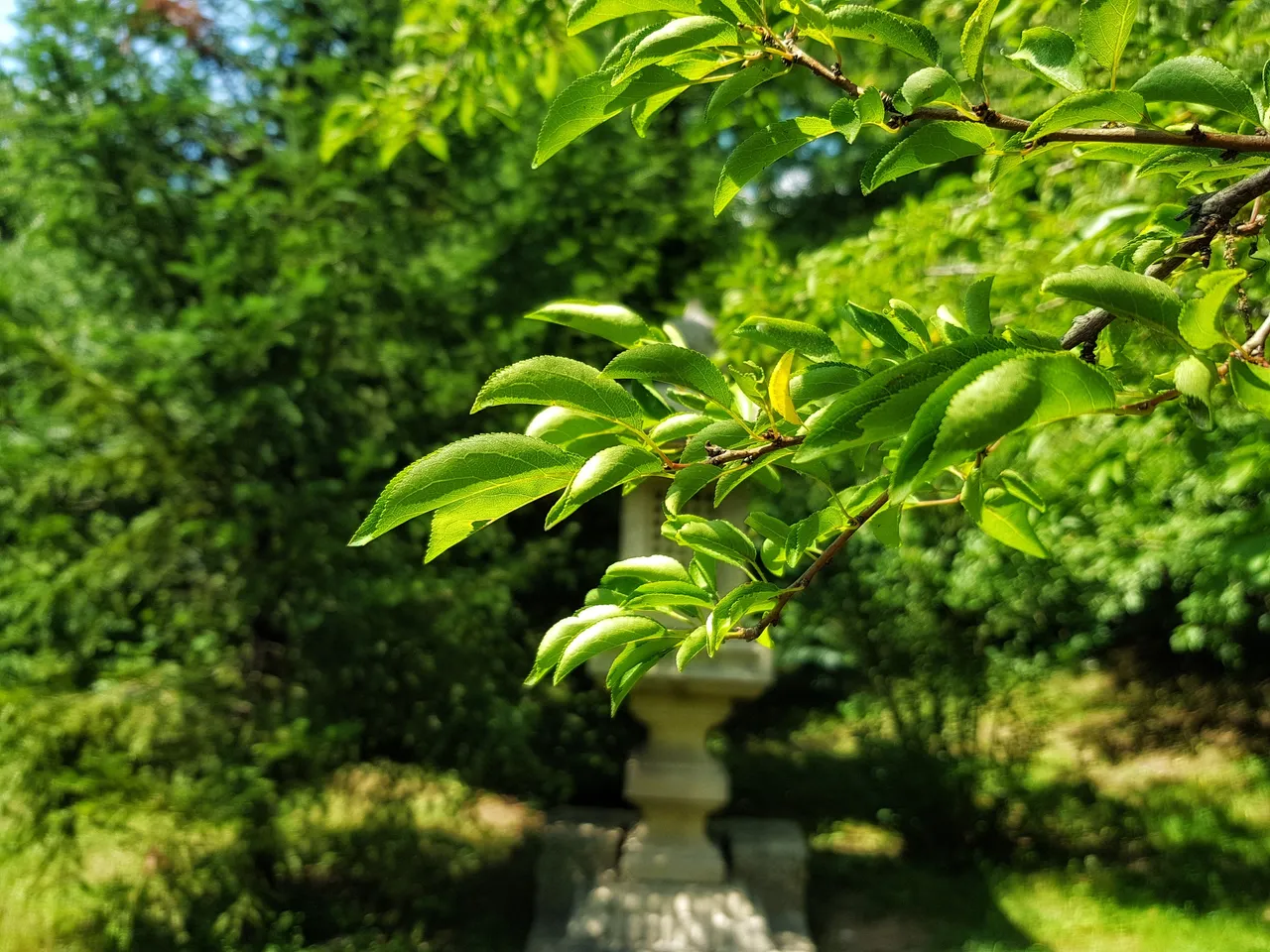 20180804_13563401.jpeg