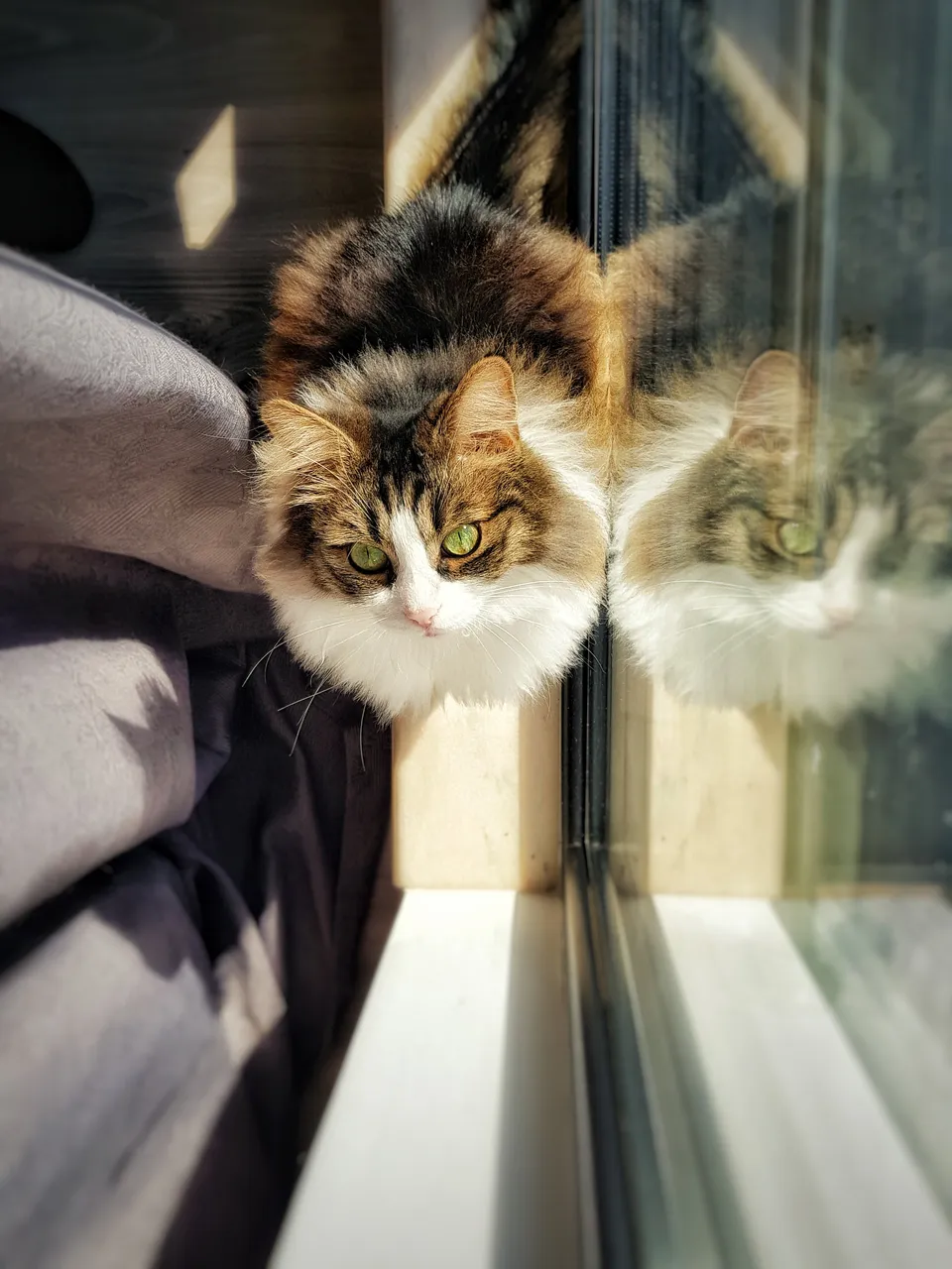 20181006_15223101.jpeg
