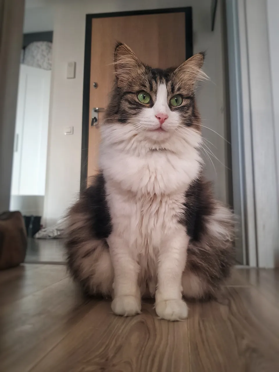 20190216_16515301.jpeg