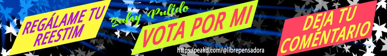 Cintillo_votame_5.jpg