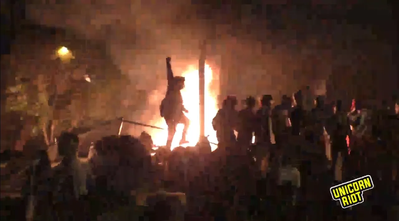 rioter fireunicorn riot.jpg