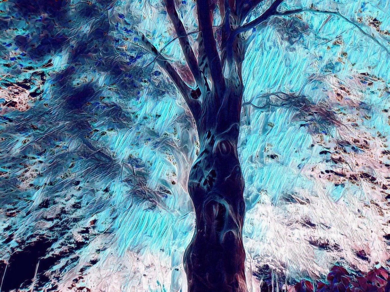 imageedit_2_2798011382.jpg