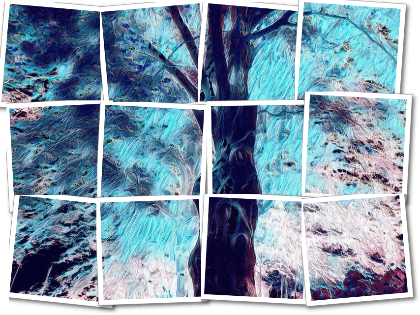 imageedit_8_3473891051.gif