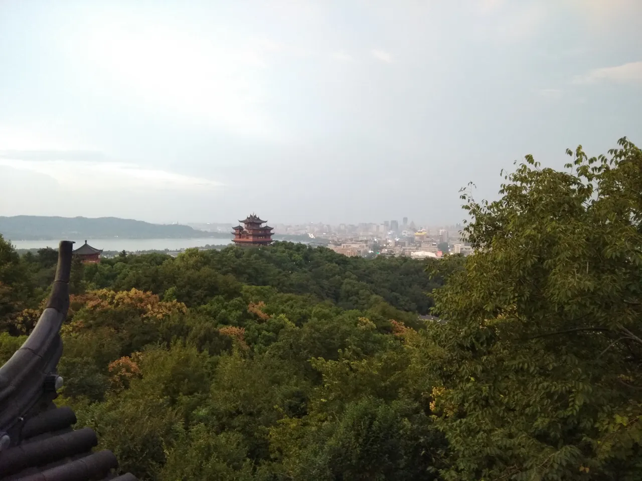 IMG_20171001_174950.jpg