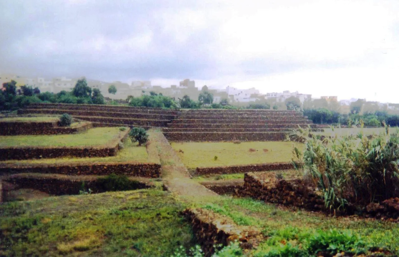 Pirámides terrazas.jpg