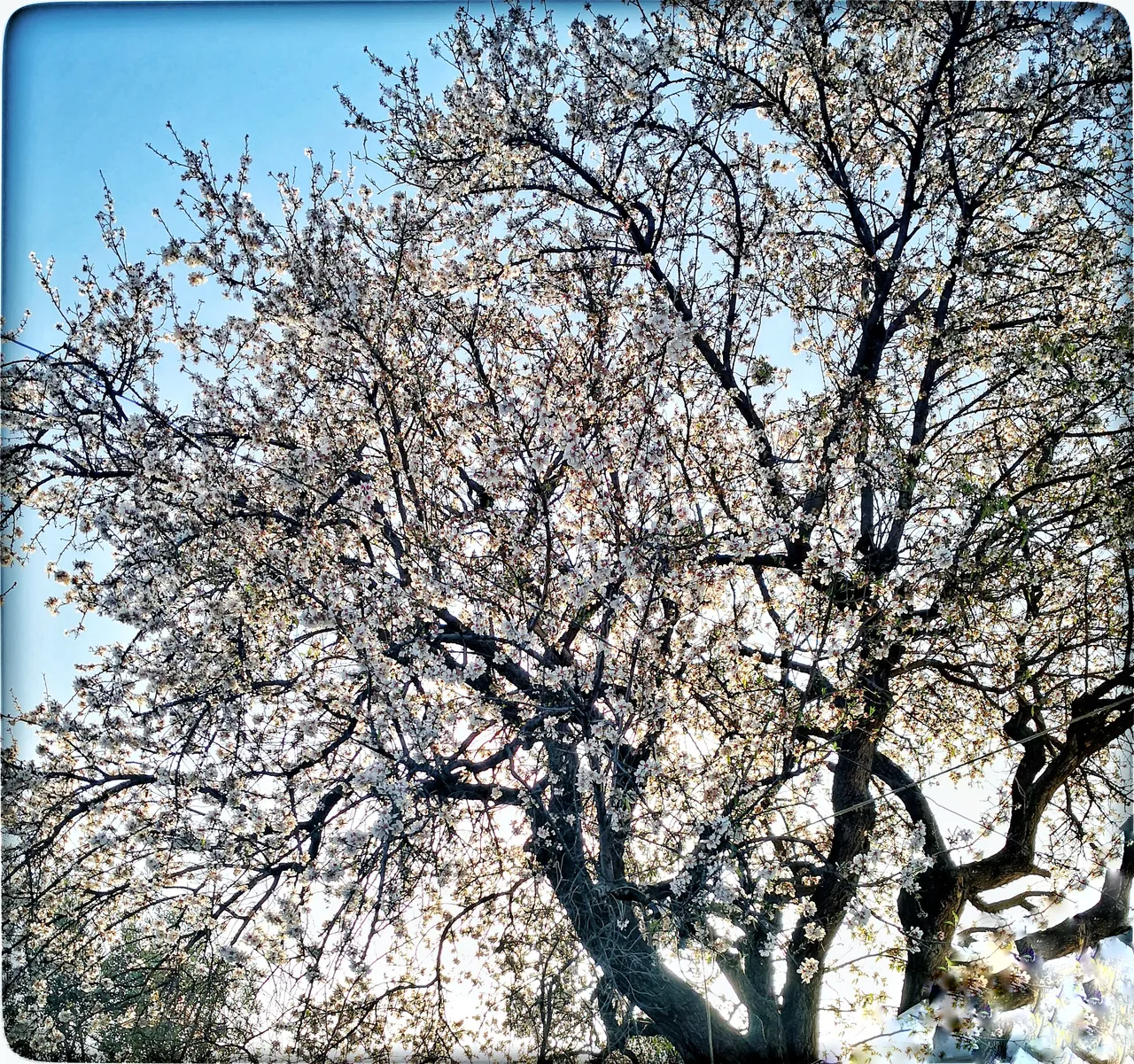 IMG_20200209_08594401.jpeg