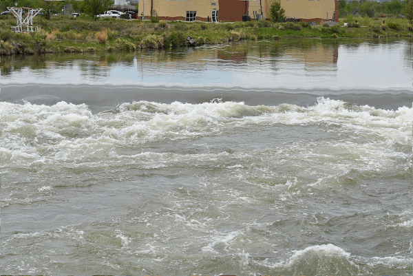 ripples_gimp_600.gif
