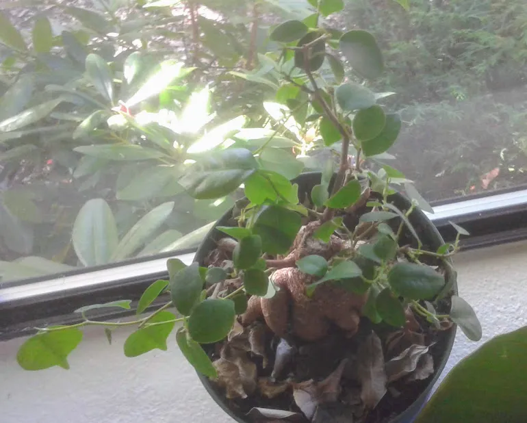 20191009_144823.jpg