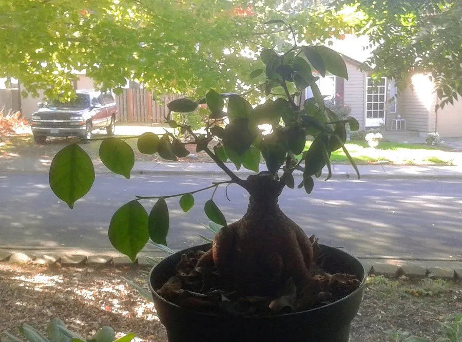20191009_144730.jpg