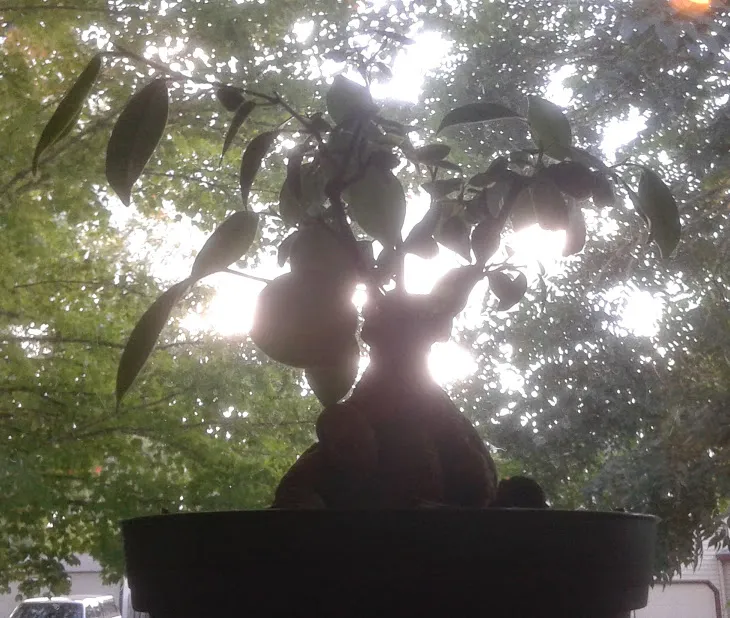 20190928_155153.jpg
