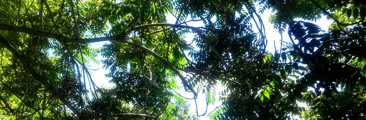20190616_120704.jpg