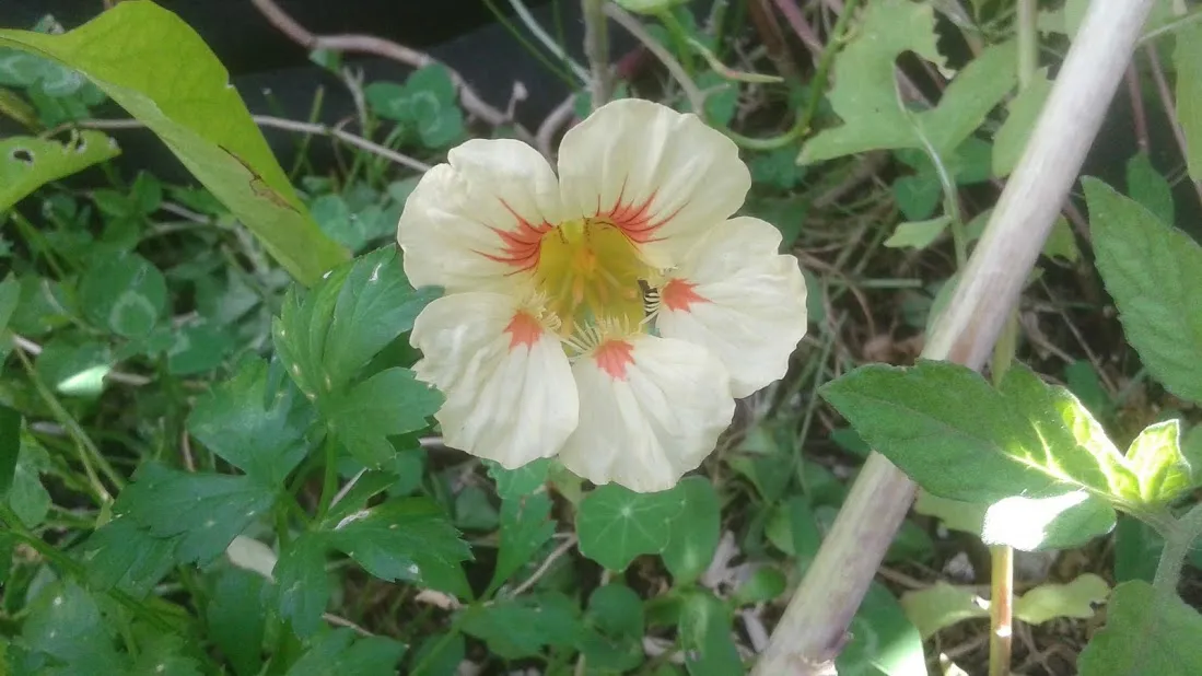 20190618_083055.jpg