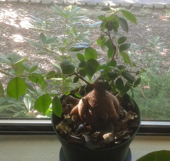 20191009_144723.jpg