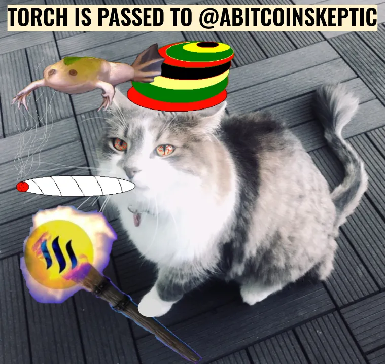steemtorch pass 1.png