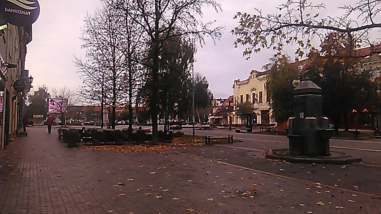 IMG_20191120_145536.jpg