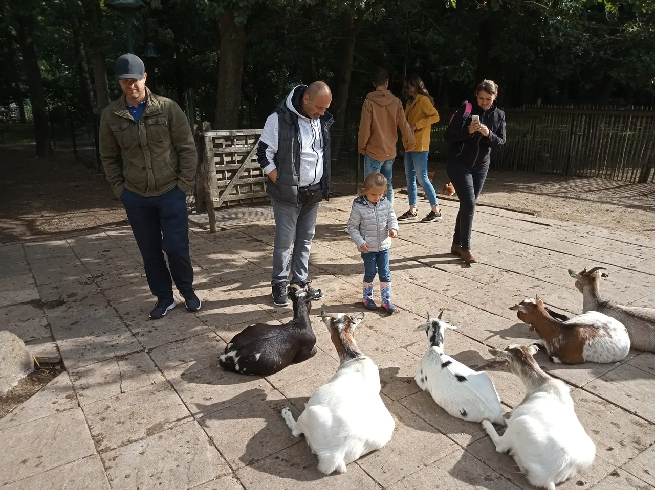 IMG_20190928_115216.jpg