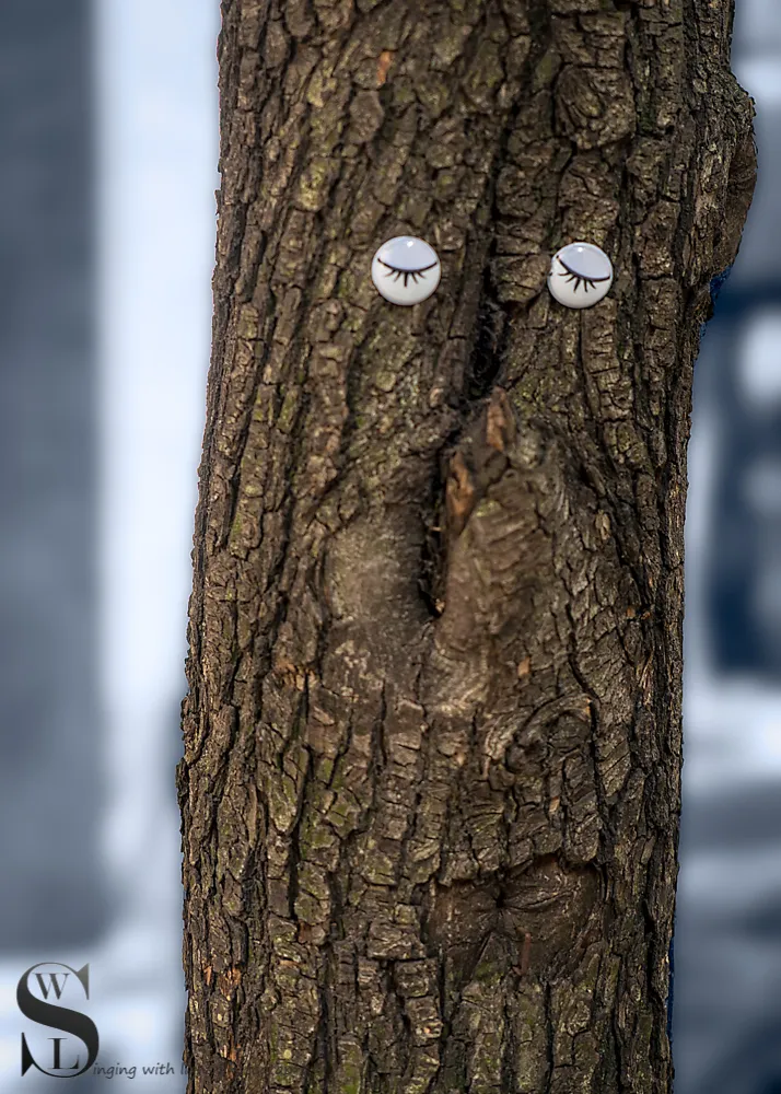 1 1 googly eyes.jpg