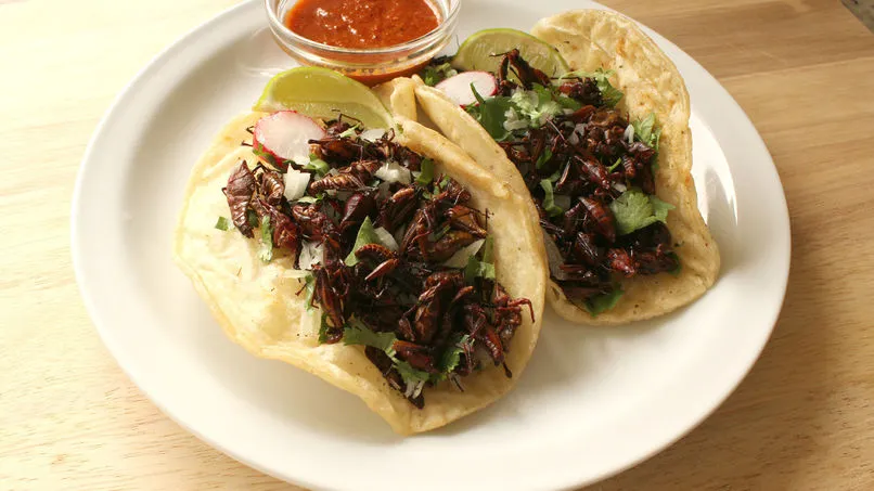 Chapulines mexicanos.