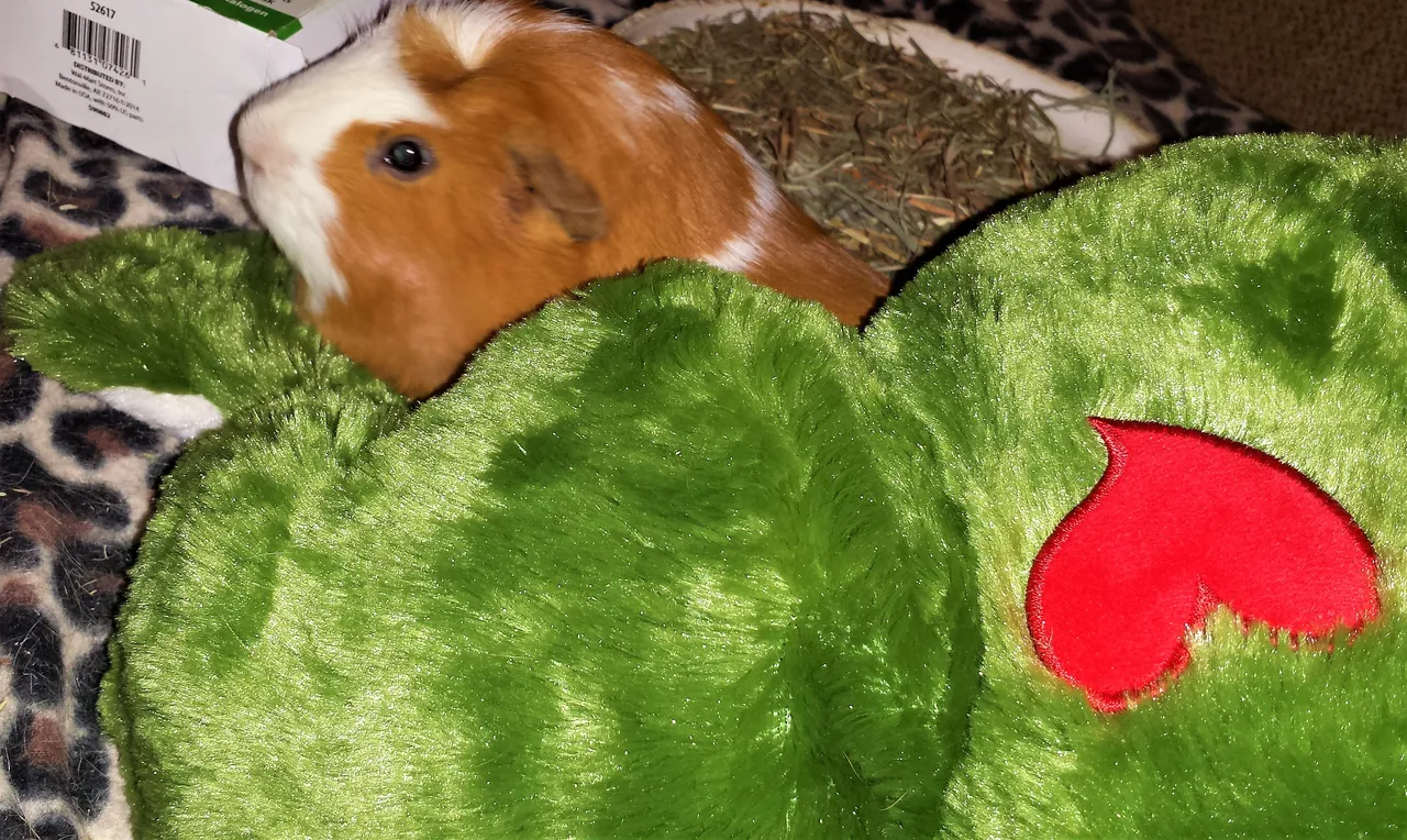 mickey2.jpg