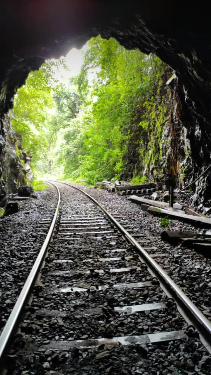 tunnel.jpeg