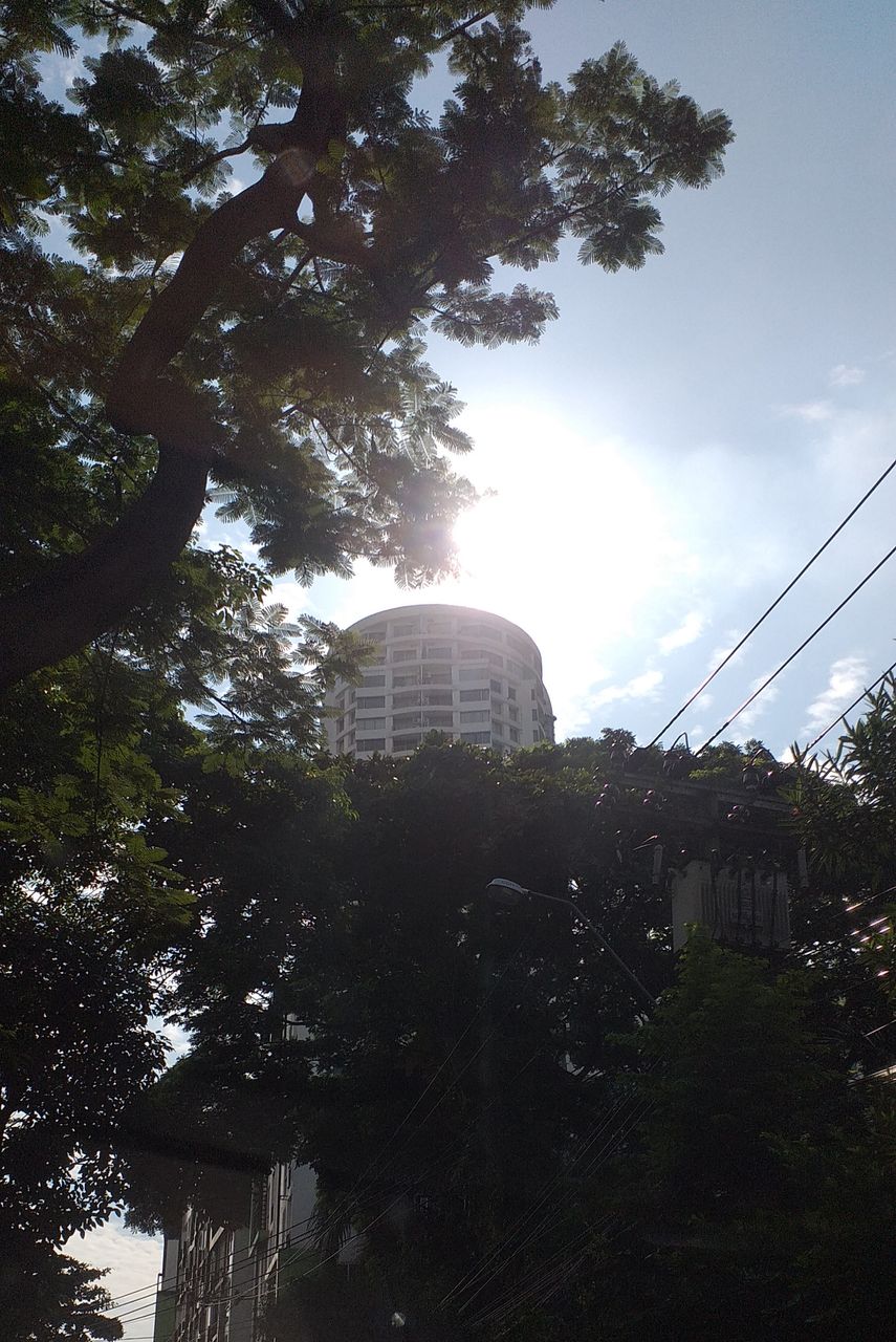 view127.jpg
