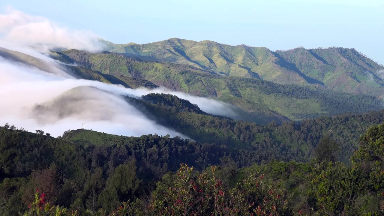 bromo23.jpg